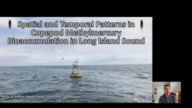Spatial and Temporal Patterns in Copepod Methylmercury Bioaccumulation in Long Island Sound